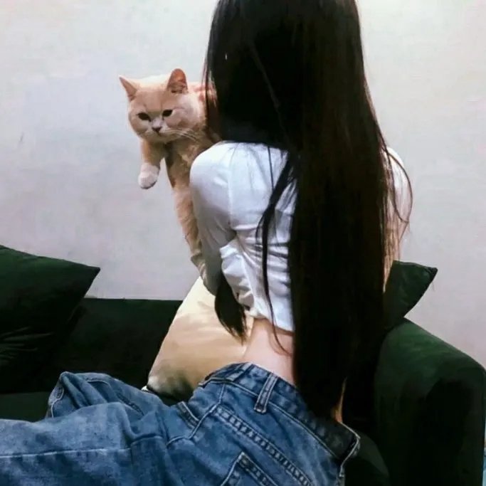 蒙特卡洛