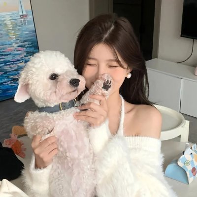 王的命令 第二季